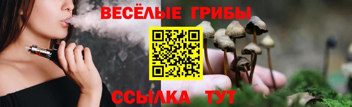 Псилоцибиновые грибы мухоморы  наркотики  Чапаевск  Вход с VPN 